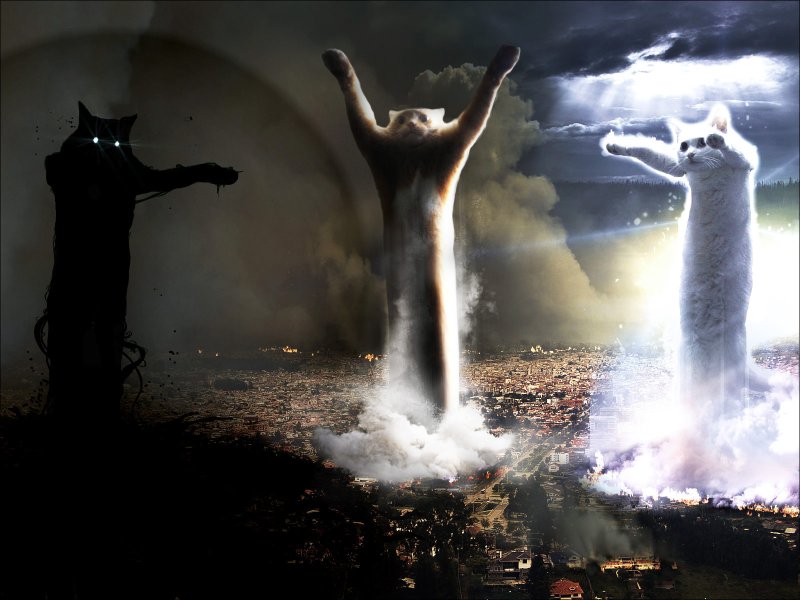 Длиннокот Мем