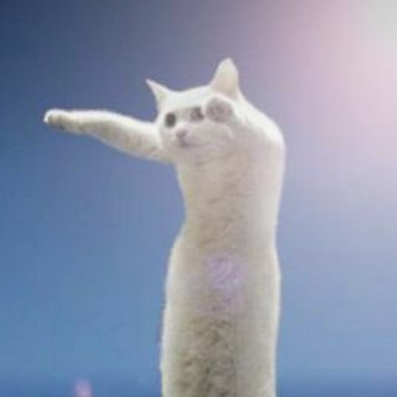 Длинные коты