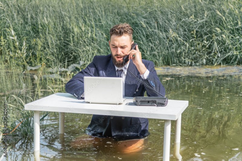 Офисный работник в болоте