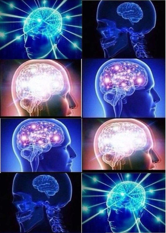 Мозг Мем