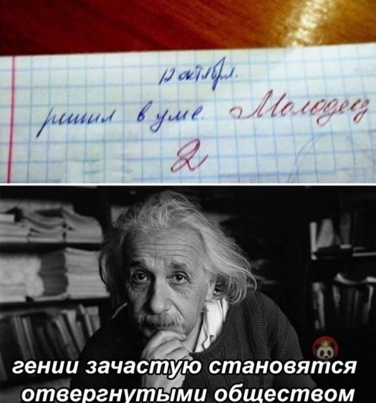 Гении зачастую бывают отвергнуты обществом Мем