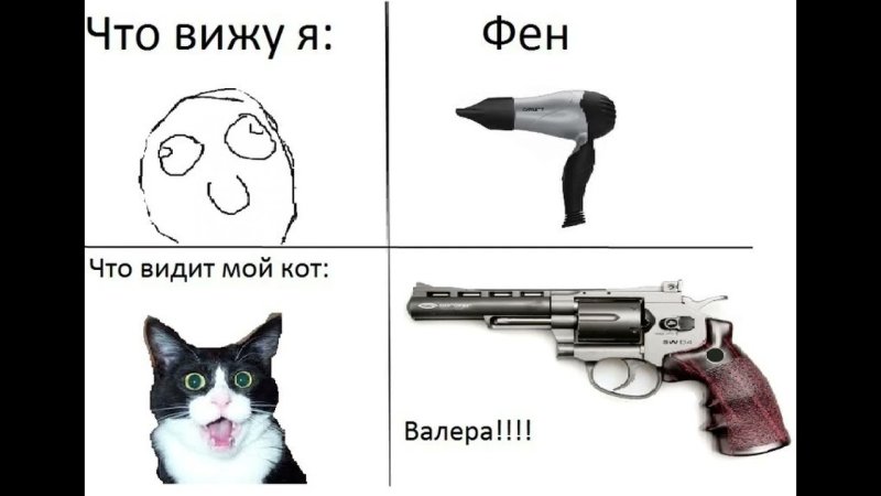 Кот Мем