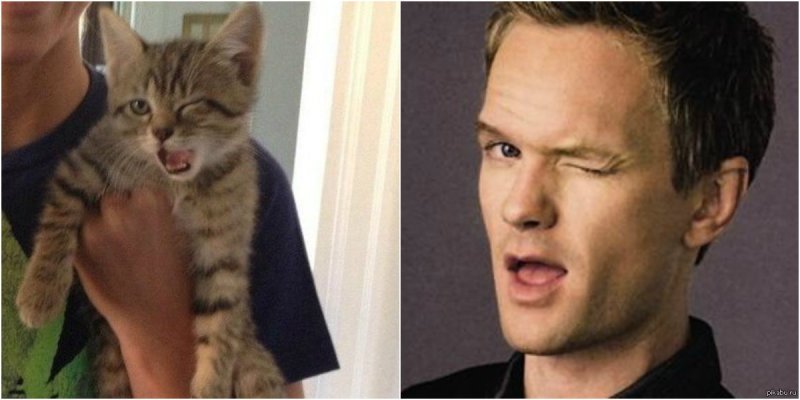 Парень подмигивает