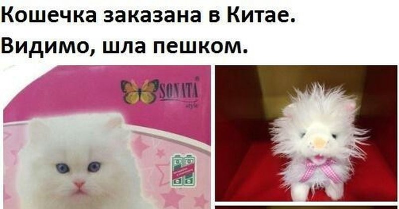 Кот с АЛИЭКСПРЕСС