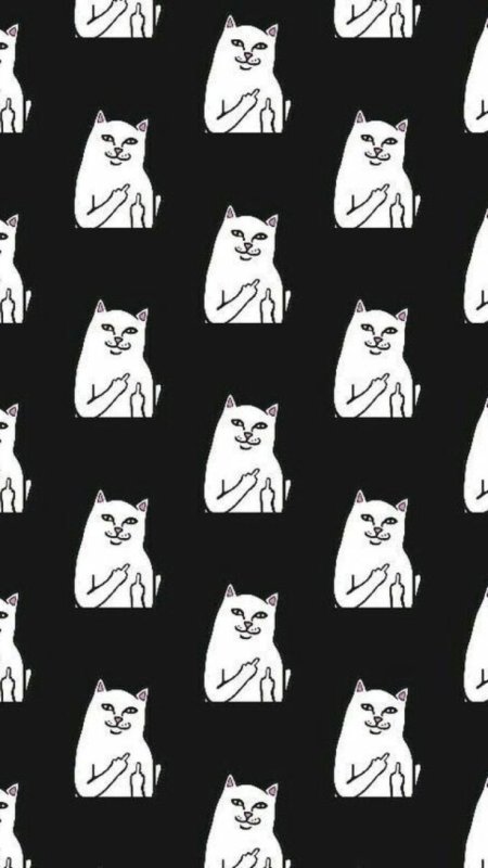 Прикольный фон