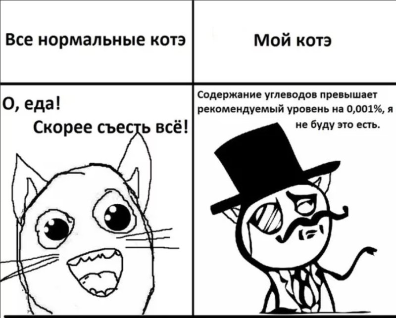 Мемы про котов