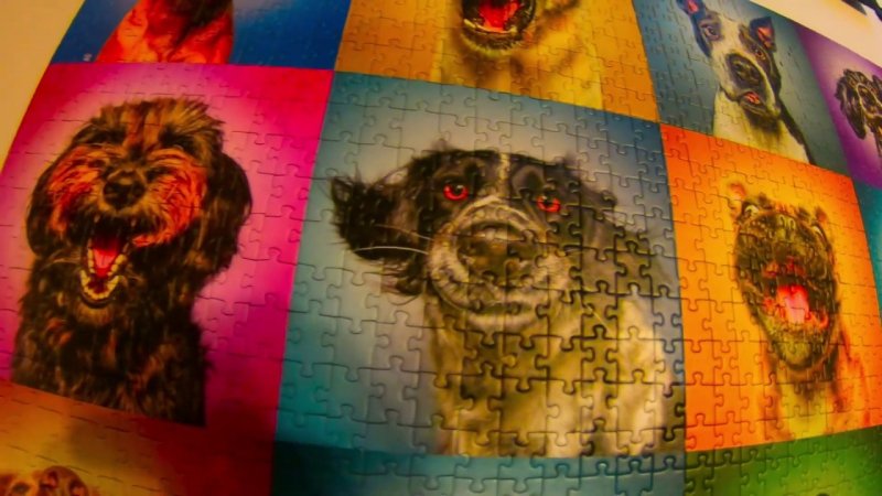 Пазлы Trefl собаки