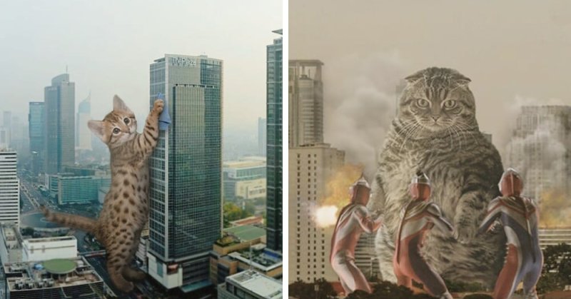 Гигантская кошка в городе