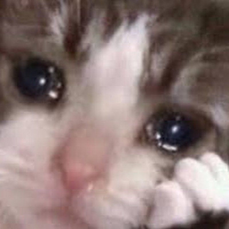 Ухмыляющийся котенок Хе Хе