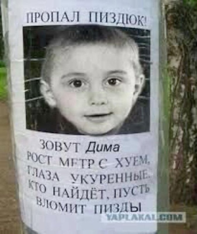 Дима пропал приколы