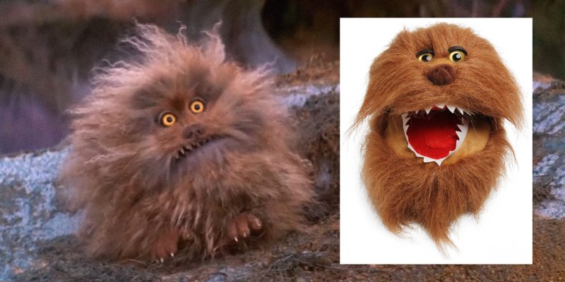 Пушистое чудовище