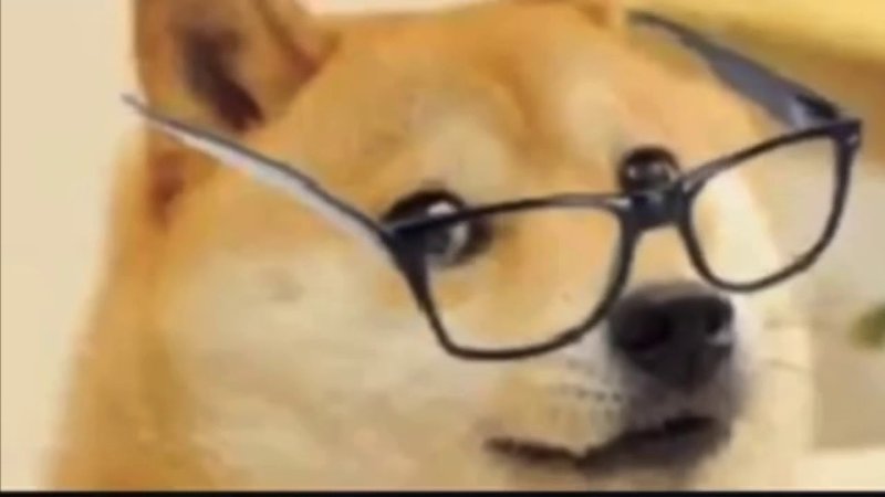Собака в очках Мем