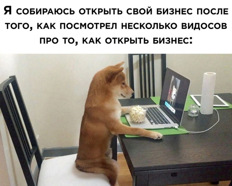 Собака сидит за компьютером