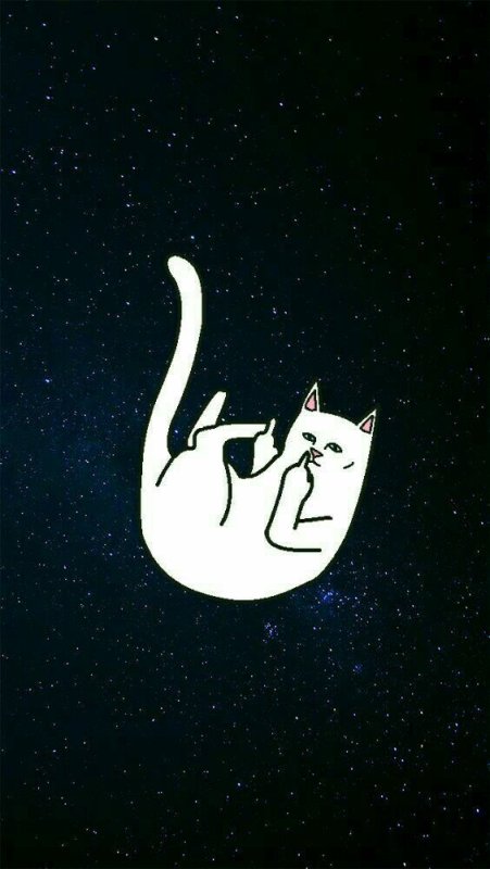 Кот с факом арт