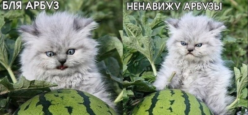 Ненавижу арбузы