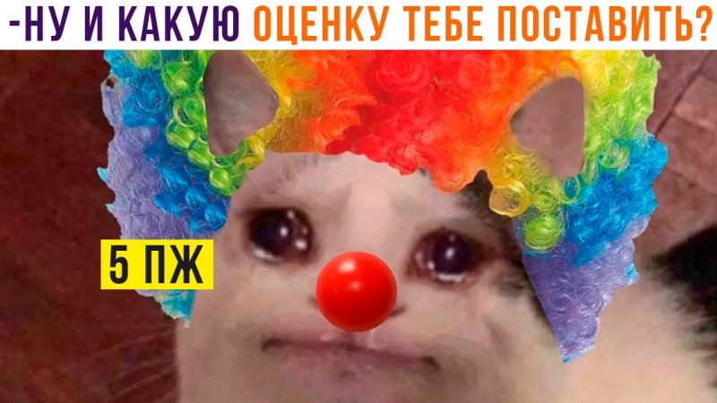 Кот клоун
