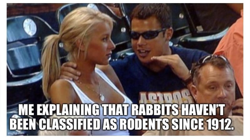 Парень объясняет девушке Мем