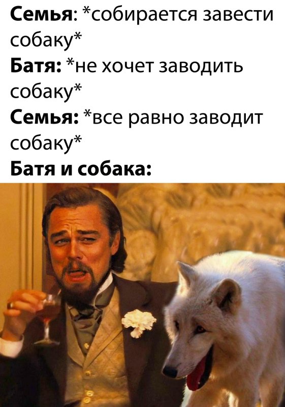Семья заводит собаку Мем