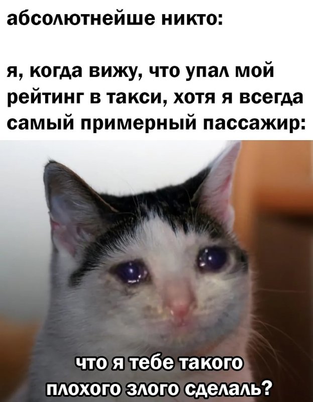 Посущий кот