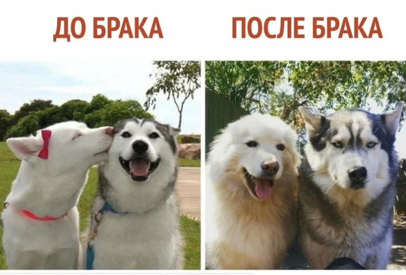 До и после замужества Мем