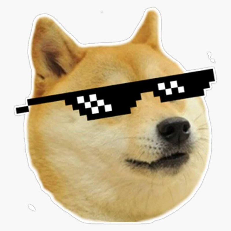 Сиба-ину Догги