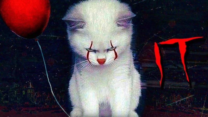 Котик клоун оно