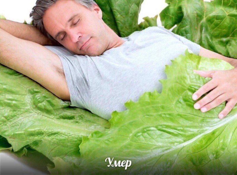 Человек капуста