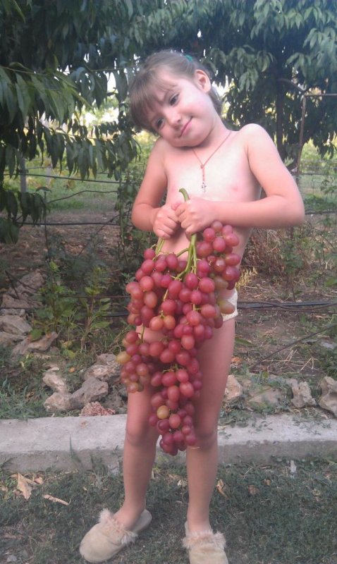 Кишмиш София