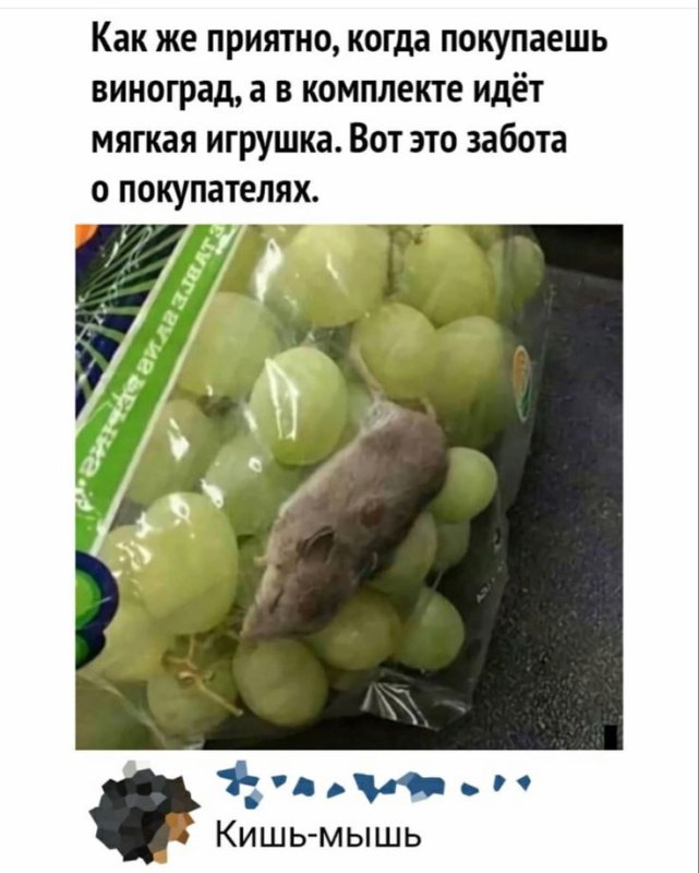 Виноград юмор