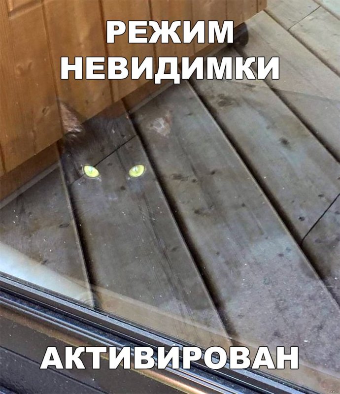 Невидимка прикол