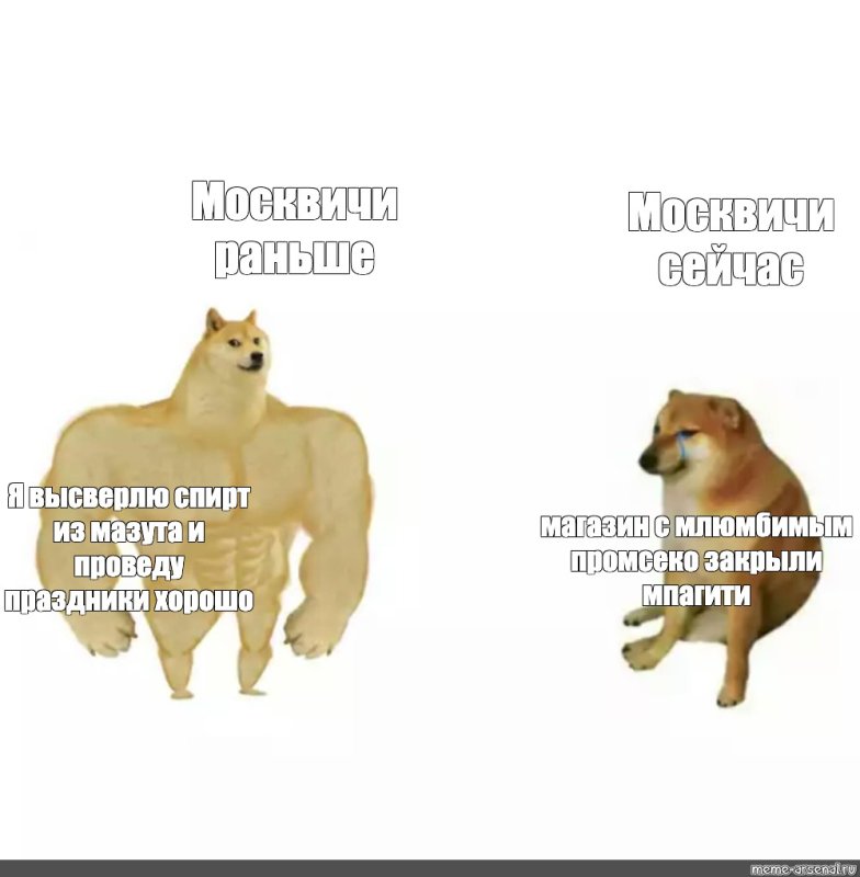 Собаки раньше и сейчас Мем