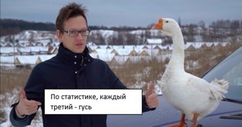 Человек Гусь