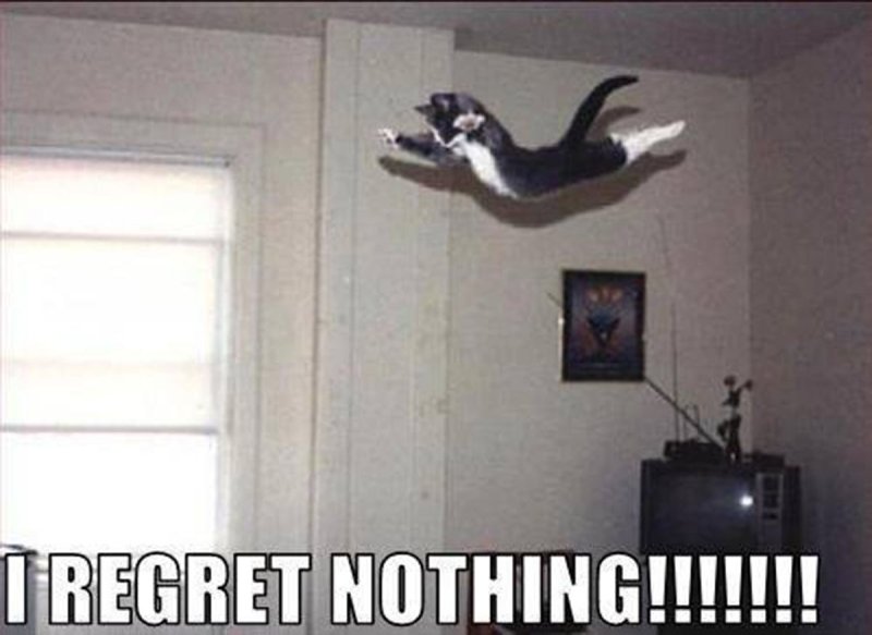 Кот летит Мем