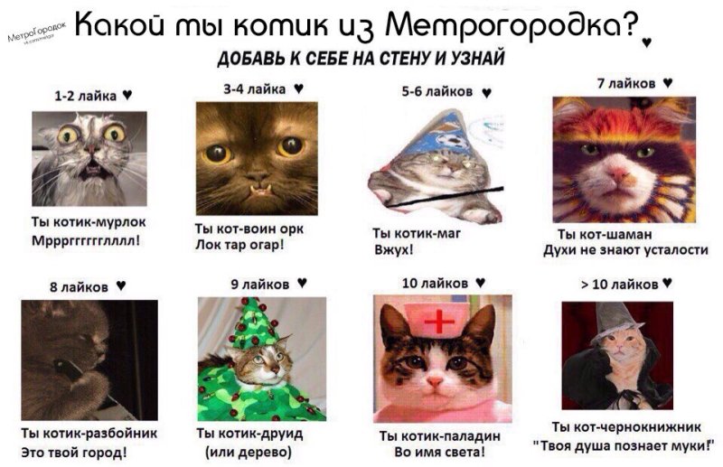 Какой ты сегодня кот
