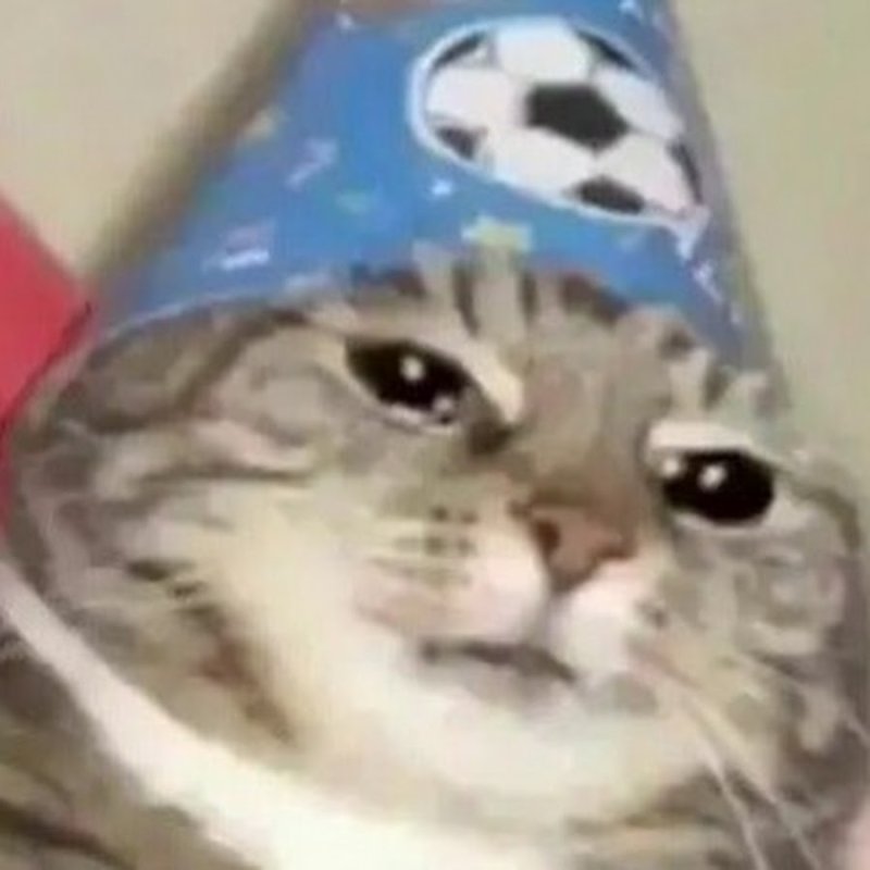 Колдую тебе понос кот Мем