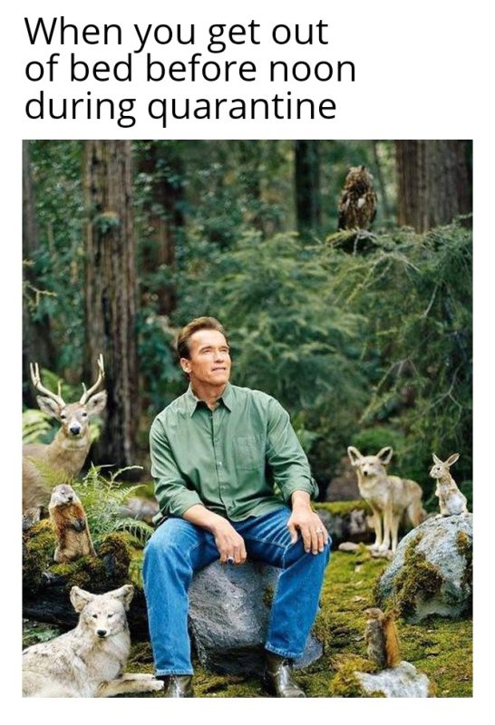 Мем Арнольд Шварценеггер в лесу