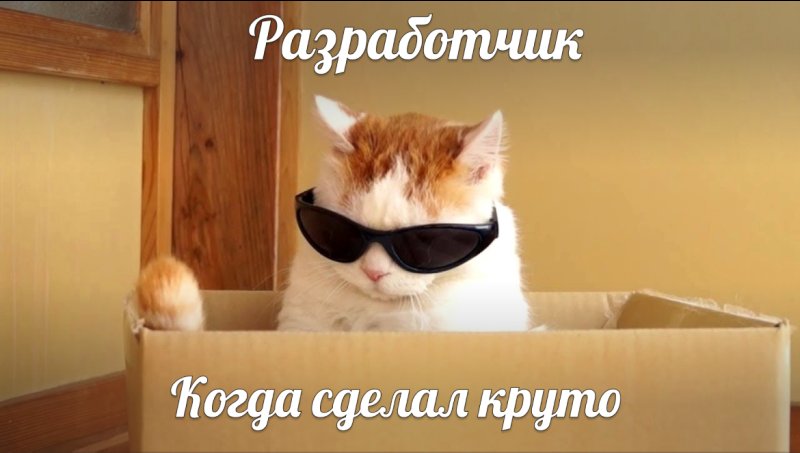 Кот в очках в коробке