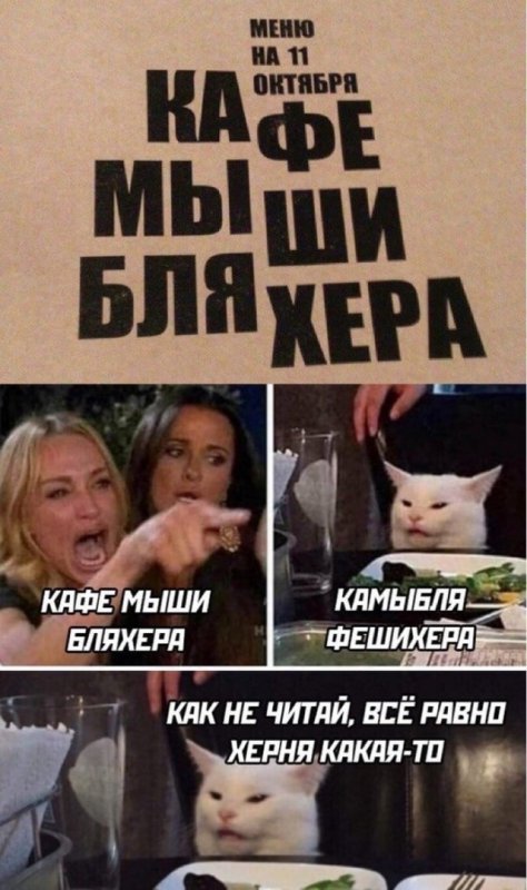 Мем женщина и кот