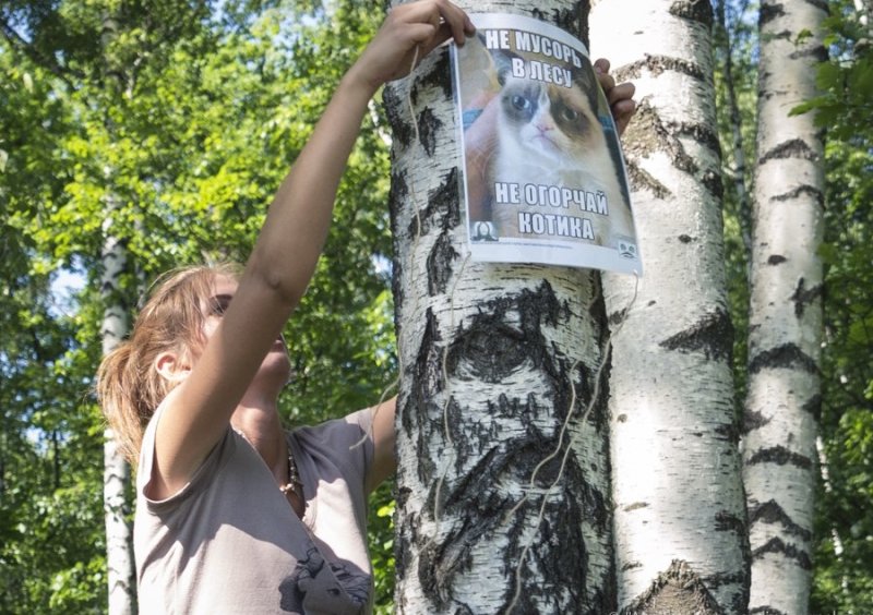 Мусор в лесу Мем