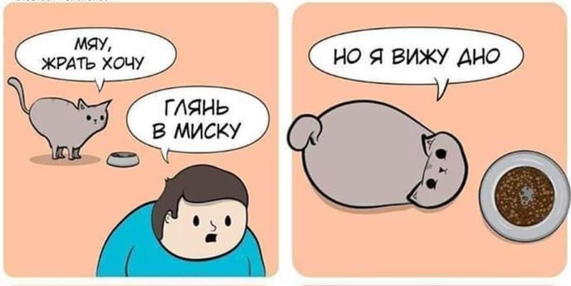 Я вижу дно кот Мем