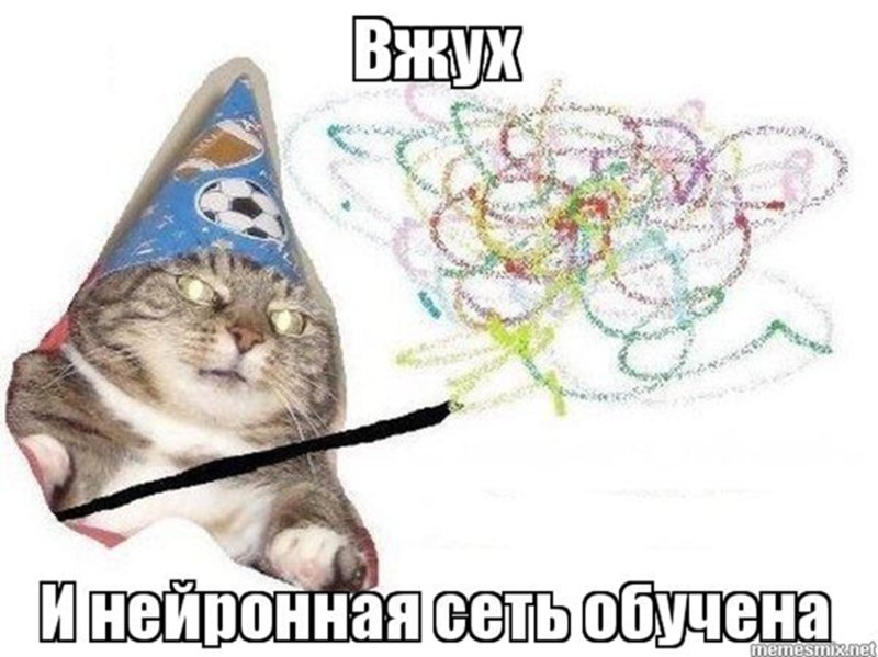 Котик волшебник вжух