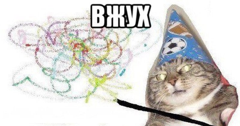 Котик вжух