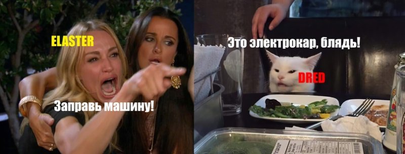 Девушки орут на кота