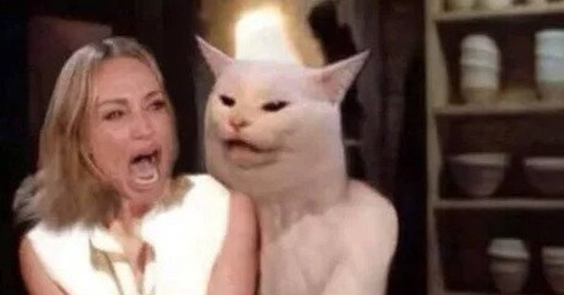 Тетки орут на кота