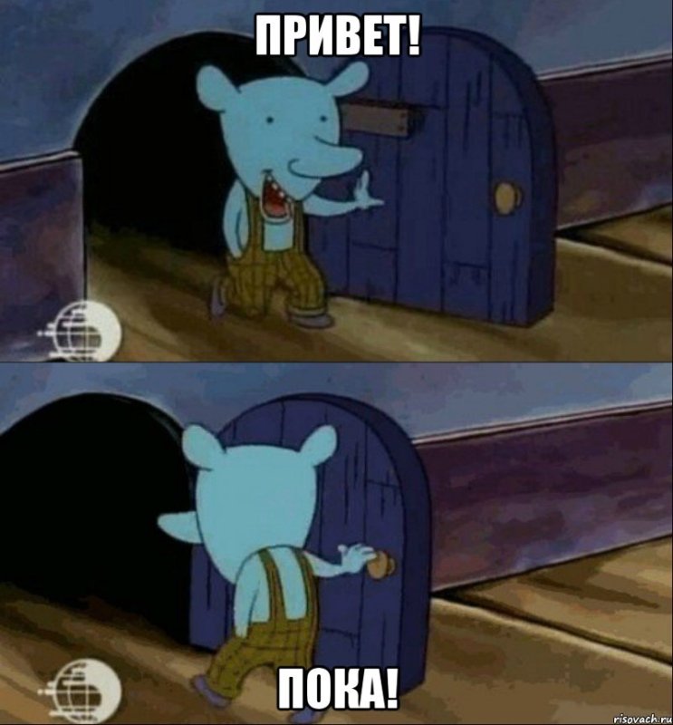 Котопес мышь Уинслоу