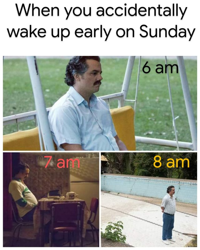 Грустный Стив сидит в поле