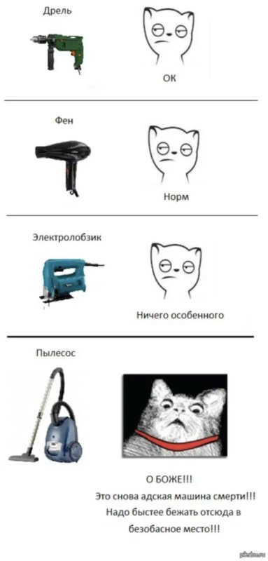 Кот Мем