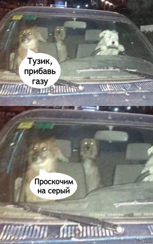 Гони на серый проскочим