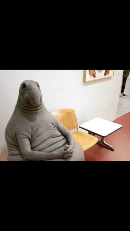 Ждун прикольный