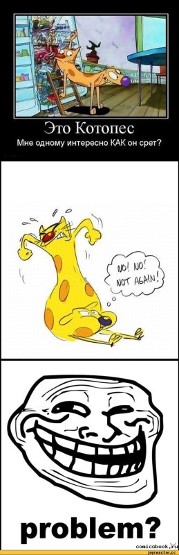 Котопёс Мем